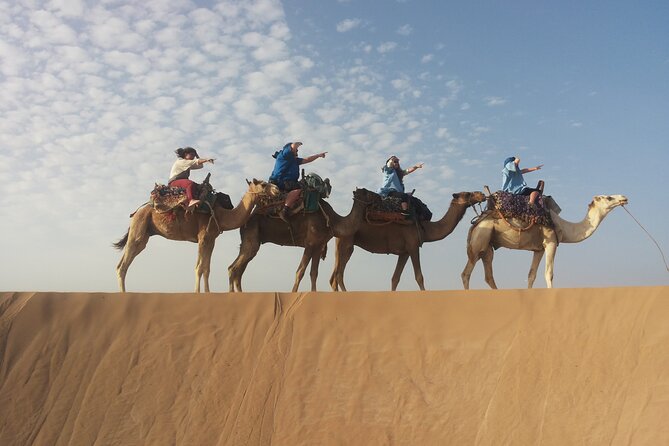 Essaouira 1 Hour Discovery Ride on the Back of a Camel - Confirmation and Booking