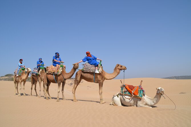 Essaouira 1 Hour Discovery Ride on the Back of a Camel - Restrictions and Accessibility