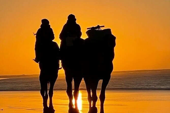 Essaouira 1 Hour Discovery Ride on the Back of a Camel - Public Transportation Options