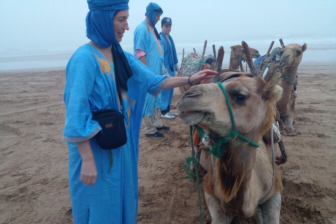 Essaouira: 1 Hour Dromedary + 2 Hours Quad - Reviews and Recommendations