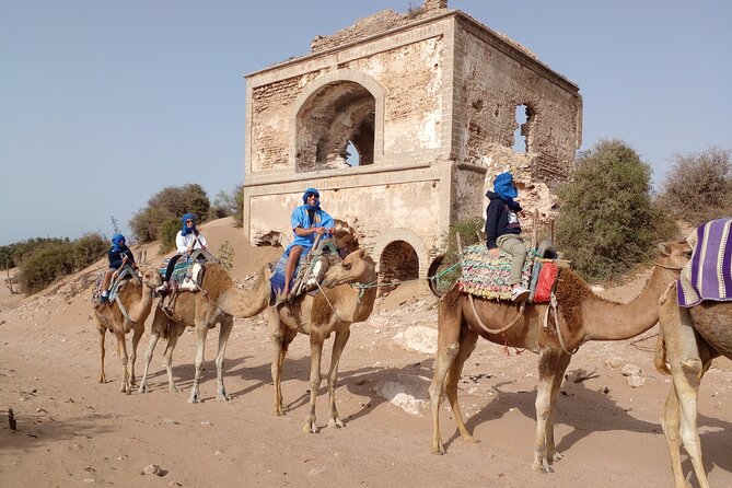 Essaouira: 1 Hour Dromedary + 2 Hours Quad - Preparing for the Adventure