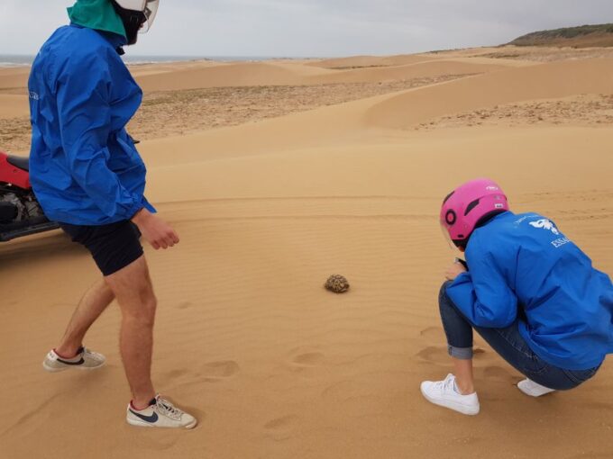 Essaouira: 1 Hour Quad Bike Tour and 1 Hour Dromedary Ride - Customer Feedback