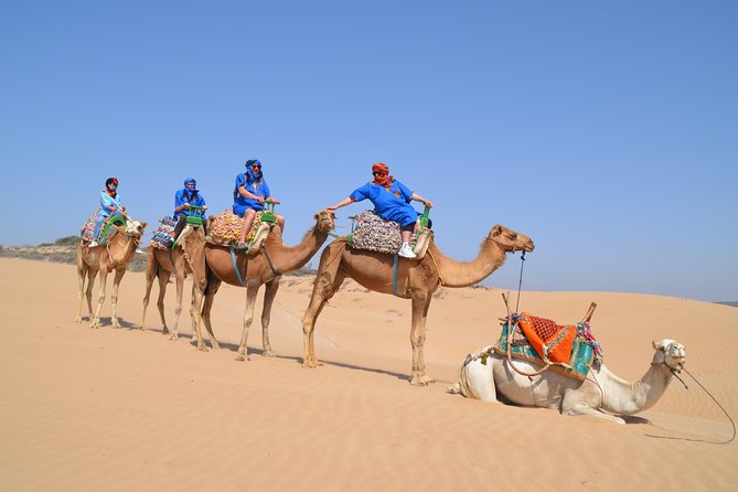 Essaouira 2-Hour Camel Adventure Ride - Pickup and Meeting Point