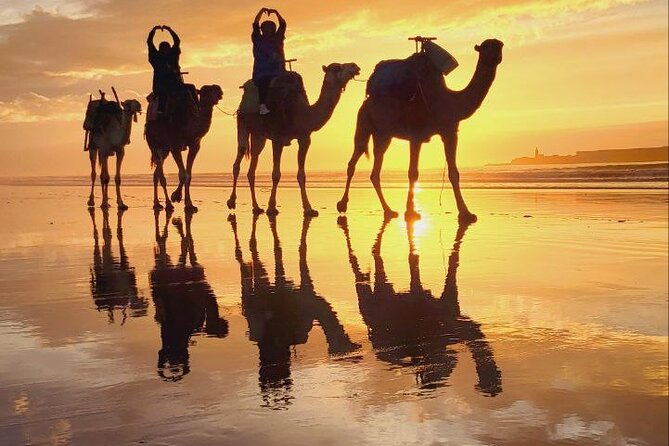 Essaouira 2-Hour Camel Adventure Ride - Camel Adventure Highlights