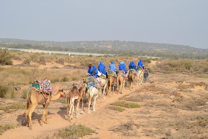 Essaouira 2-Hour Camel Adventure Ride - Scenic Landscape Exploration