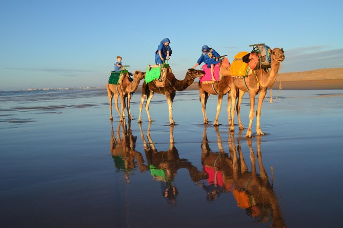 Essaouira 2-Hour Camel Adventure Ride - Frequently Asked Questions