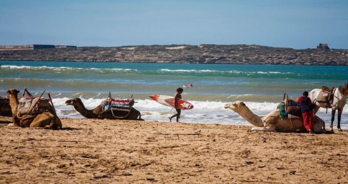 Essaouira: 2-Hour Camel Ride - Safety Considerations