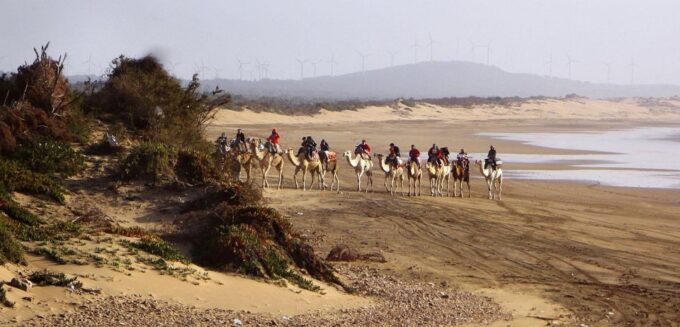 Essaouira: 2-Hour Camel Ride - Frequently Asked Questions