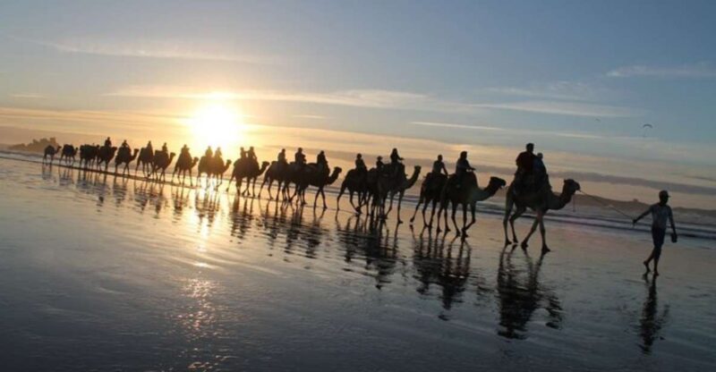 Essaouira: 2 Hours Quad Bike Tour and 1 Hour Camel Ride - Booking and Cancellation