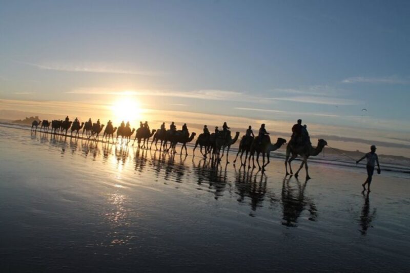 Essaouira: 2 Hours Quad Bike Tour and 1 Hour Camel Ride - Essaouiras Diverse Landscapes