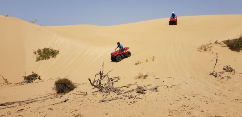 Essaouira: 2 Hours Quad Bike Tour and 1 Hour Camel Ride - Camel Ride Adventure