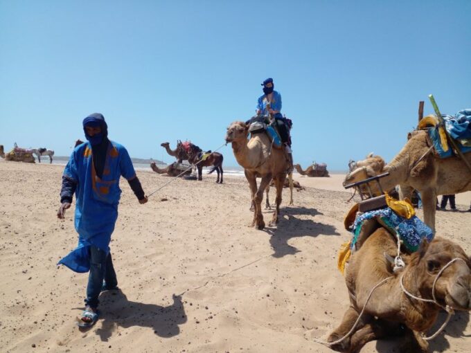 Essaouira: 2 Hours Quad Bike Tour and 1 Hour Camel Ride - Contact Information