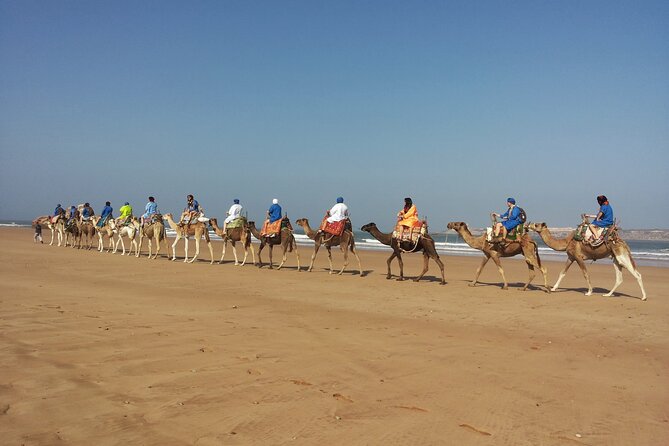 Essaouira: 2h/ Quad + 2h/ Dromedary Free Transfer - Health and Safety Guidelines