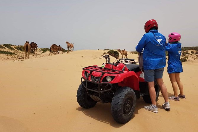 Essaouira: 2h/ Quad + 2h/ Dromedary Free Transfer - Dromedary Tour