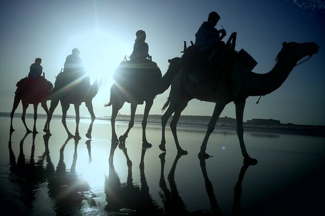Essaouira: 2h/Quad+1h/Dromedary Ride Free Transfer - Health and Accessibility Considerations