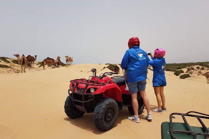 Essaouira: 2h/Quad+1h/Dromedary Ride Free Transfer - Dromedary (Camel) Ride