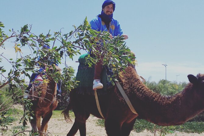 Essaouira: 3-Hour Camel Tour - Pickup Information