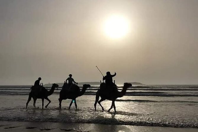 Essaouira: 3-Hour Camel Tour - Health and Safety Measures