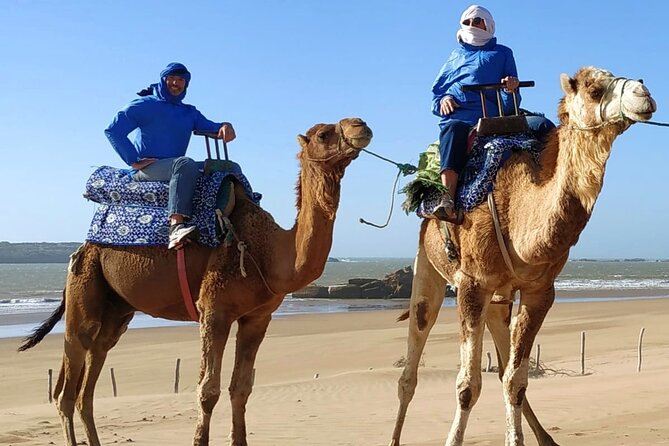 Essaouira: 3-Hour Camel Tour - What to Expect During the Tour