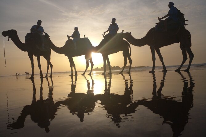 Essaouira: 3-Hour Camel Tour - Booking and Pricing Details