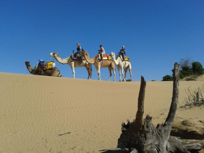 Essaouira: 3-Hour Dromedary Ride and Berber Tent Overnight - Dromedary Ride Itinerary
