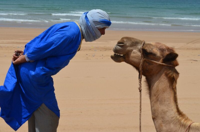 Essaouira: 3-Hour Dromedary Ride and Berber Tent Overnight - Participant Requirements