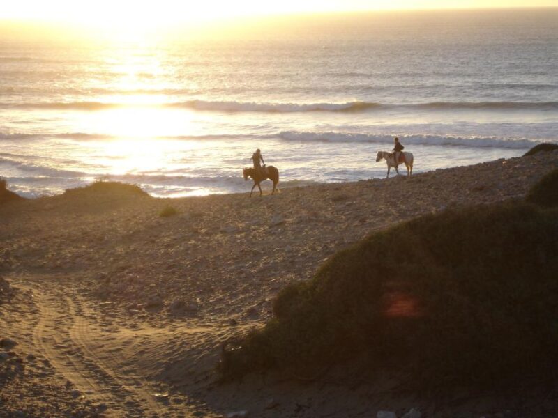 Essaouira: 3-Hour Horse Ride and Berber Tent Overnight - Experience Highlights