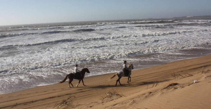 Essaouira: 3-Hour Horse Ride and Berber Tent Overnight - Important Information and Requirements