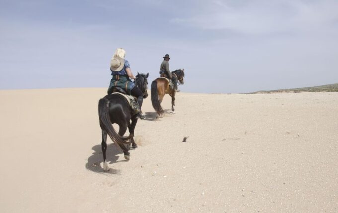 Essaouira: 3-Hour Horse Ride and Berber Tent Overnight - Frequently Asked Questions