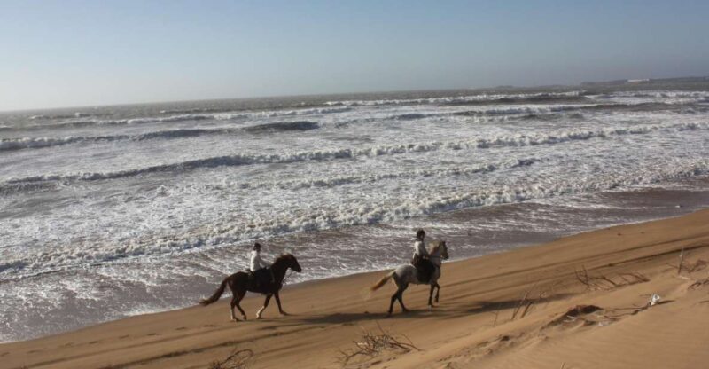 Essaouira: 3-Hour Horseback Ride - Inclusions and Meeting Point