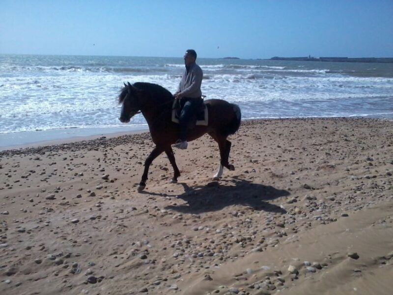 Essaouira: 3-Hour Horseback Ride - Tour Duration and Pricing