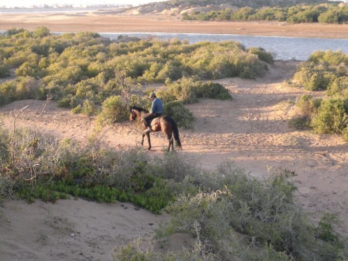 Essaouira: 3-Hour Horseback Ride - Frequently Asked Questions