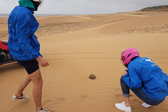 Essaouira: 3-Hour Quad Ride (Free Transfer). - Key Points
