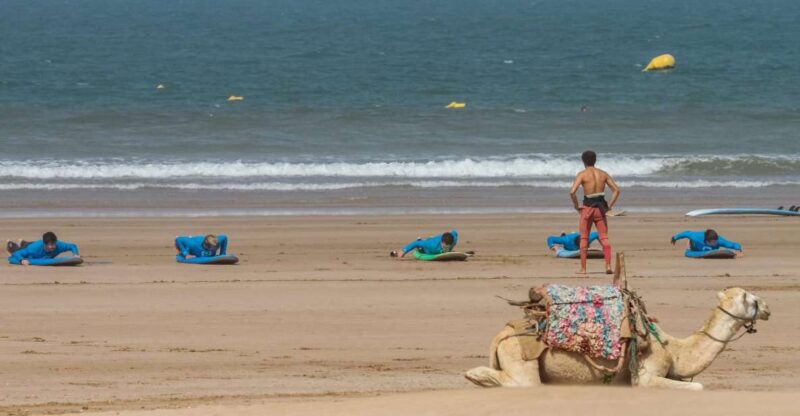 Essaouira: 4 Hour Surf Lesson - Experience Overview