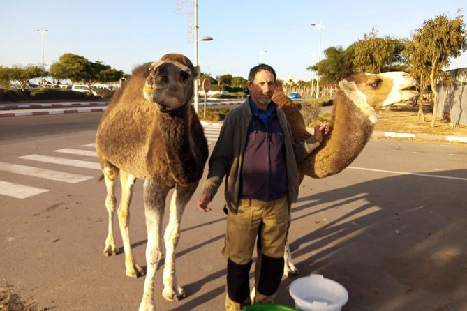 Essaouira Activities: Discover Essaouira by Quad - Meeting and Pickup Details