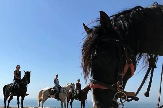 Essaouira Activities: Discover Essaouira by Quad - Tour Availability and Cancellation