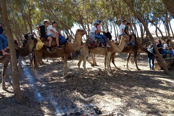 Essaouira Activities: Discover Essaouira by Quad - Inclusions and Amenities