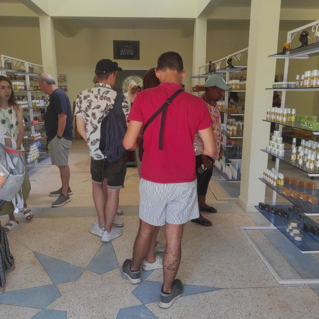 Essaouira Coastal City Discovery Day Tour From Marrakech: - Itinerary Details