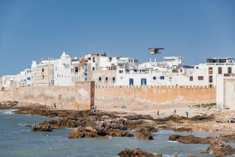Essaouira: Cultural & Historical Sightseeing Tour - Half Day - Customer Feedback