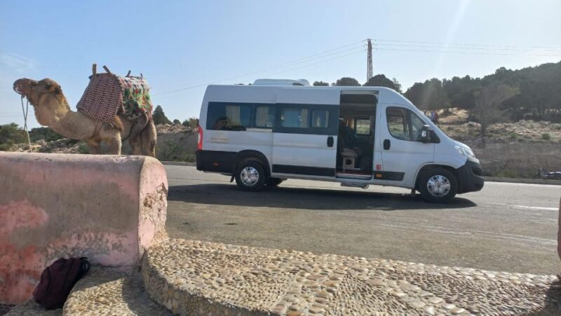 Essaouira Day Tour Starting From Marrakech - Transportation and Logistics