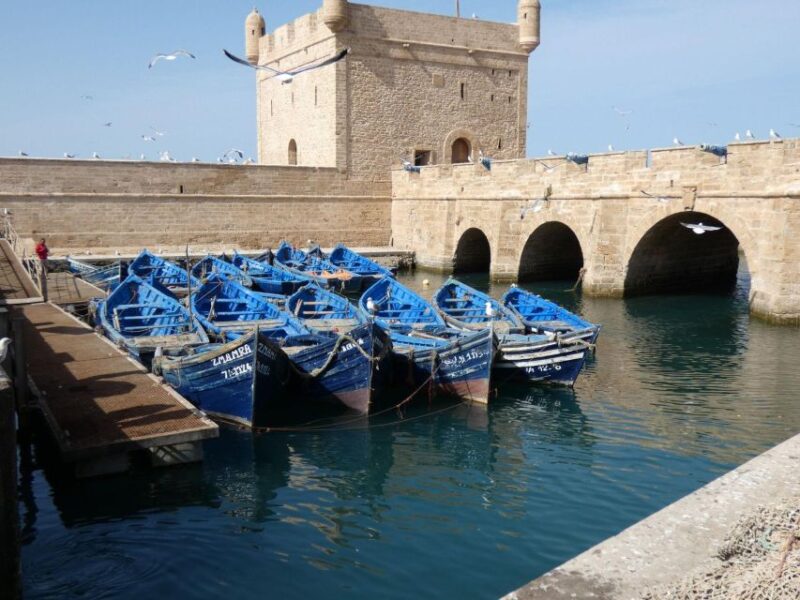 Essaouira Day Tour Starting From Marrakech - Optional Experiences