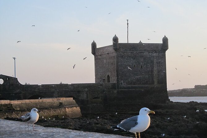 Essaouira Day Trip From Agadir or Taghazout - Maximum Travelers