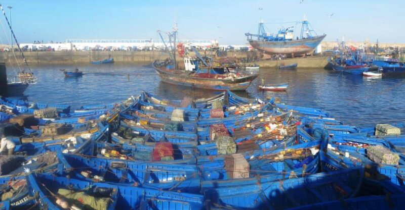 Essaouira Day Trip From Agadir - Transportation and Comfort