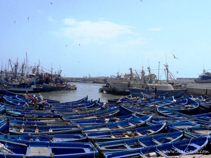 Essaouira Day Trip From Agadir - Sightseeing in Essaouira