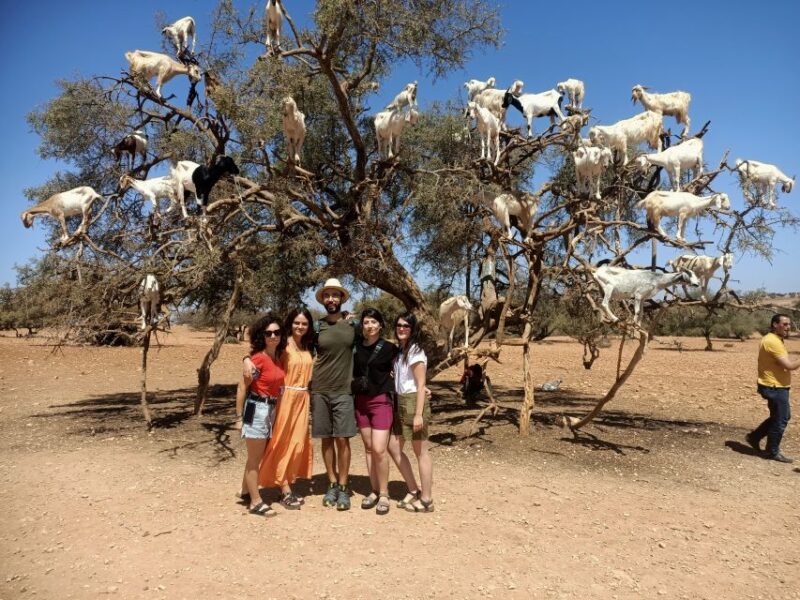 Essaouira Day Trip From Marrakech - Key Points
