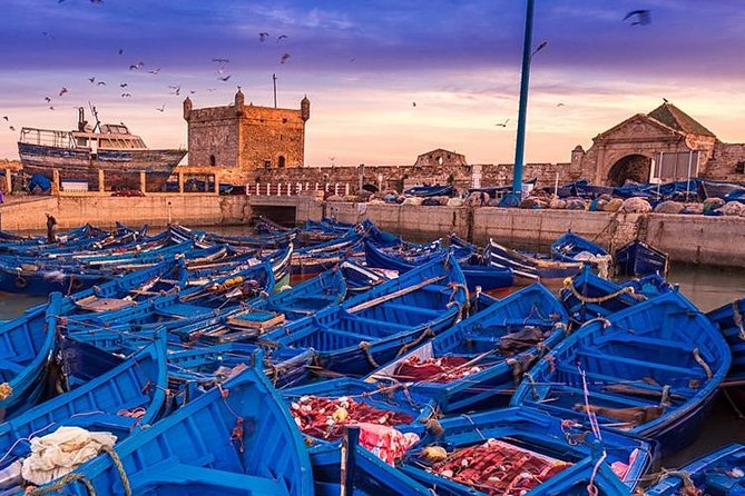 Essaouira Day Trip From Marrakech - Customizing Your Essaouira Day Trip Experience