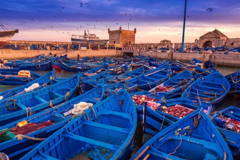 Essaouira: Day Trip to the Beautiful Mogador - Highlights of the Tour