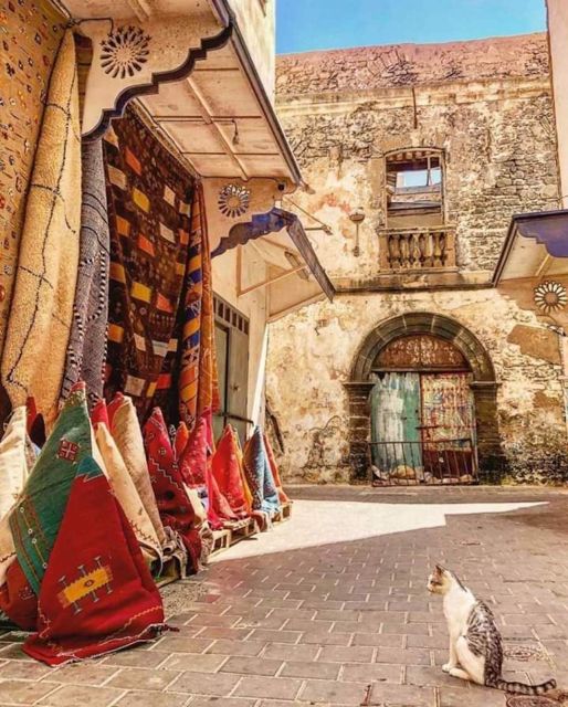 Essaouira: Day Trip to the Beautiful Mogador - Inclusions and Amenities