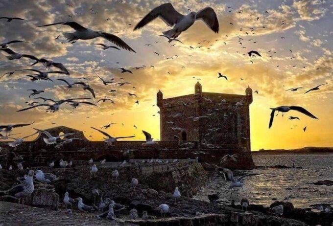 Essaouira: Day Trip to the Beautiful Mogador - Getting to Essaouira