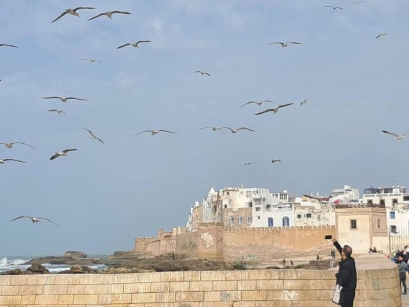 Essaouira Day Trip With Camel or Horse Ride - Key Points